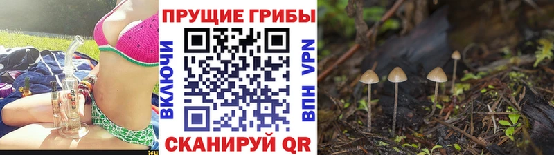 mega вход площадка формула Галлюциногенные грибы мицелий Бирюч