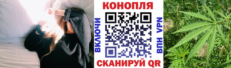 MEGA ТОР  Бирюч  Бошки Шишки White Widow  купить закладку 